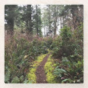 Loop Trail, Cape Enttäuschung, WA Glasuntersetzer