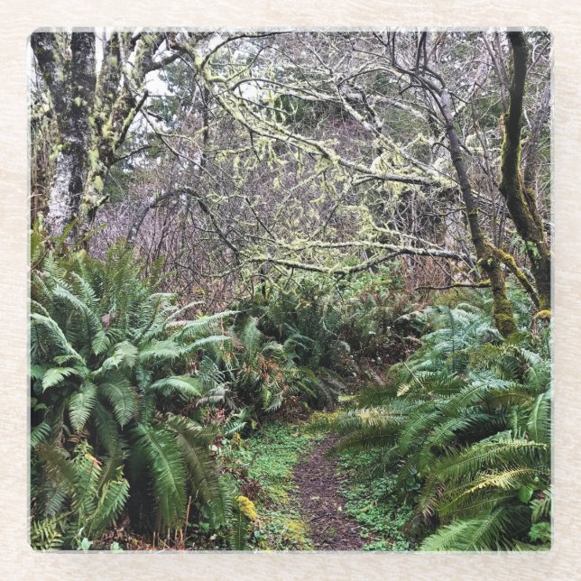 Loop Trail, Cape Enttäuschung, WA Glasuntersetzer (Vorderseite)