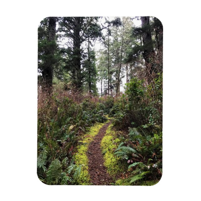 Loop Trail, Cape Enttäuschung, WA Magnet (Vertikal)