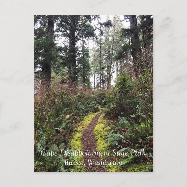 Loop Trail, Cape Enttäuschung, WA Postkarte (Vorderseite)