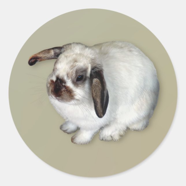 Lop-Eared Bunny Runder Aufkleber (Vorderseite)