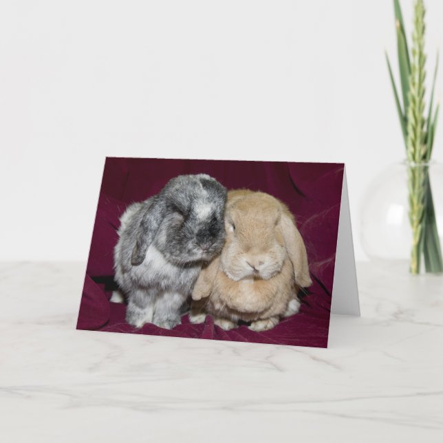 Lop Eared Rabbit Pair Karte (Vorderseite)