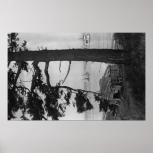 Lopez-Insel, WA - Fischerboote in der Bucht Poster