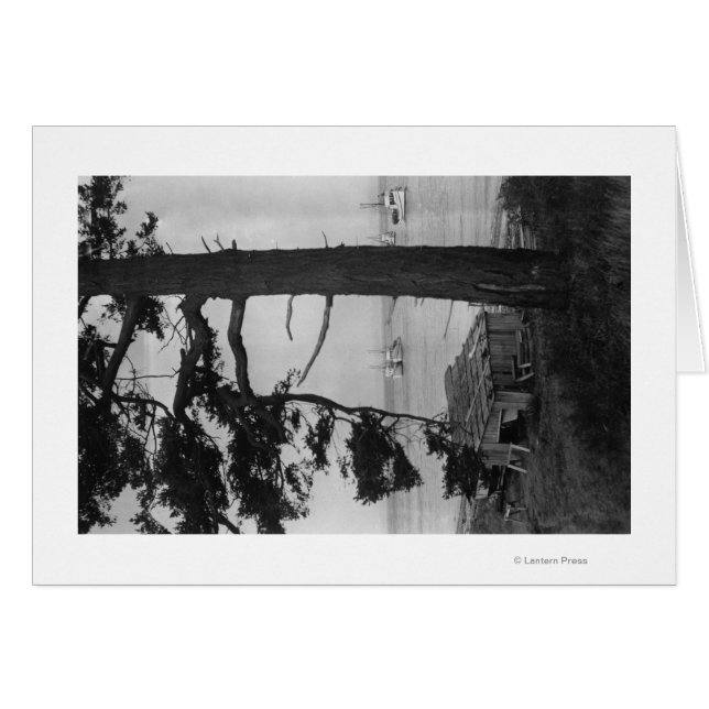 Lopez Island, WA - Fischerboote in der Bucht (Vorderseite (Horizontal))