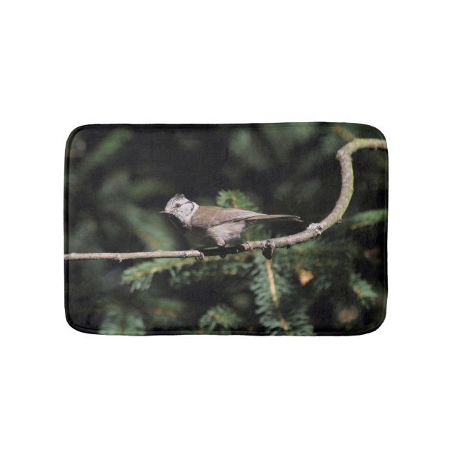 Lophanes cristatus badematte (Vorderseite)