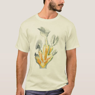 Lophopus crystallinus T-Shirt