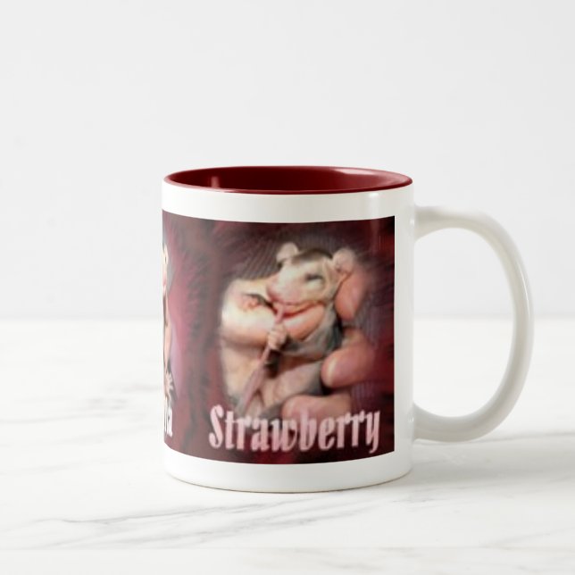 L'opossum assaisonne la copie de tasse (Droit)