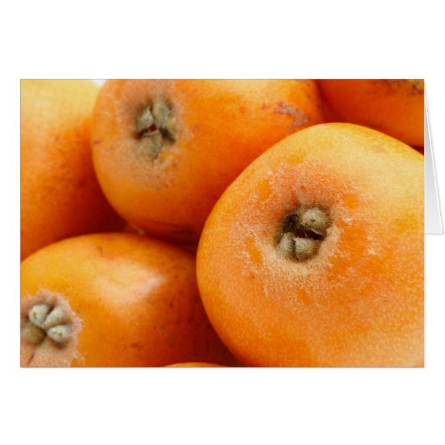 Loquats (Devant horizontal)