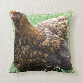 L'or a lacé le coussin d'Orpington, poulet, poule,