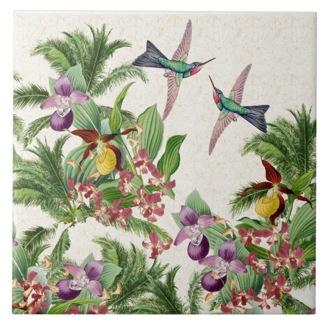L'orchidée d'oiseaux de colibri fleurit le carreau (Devant)