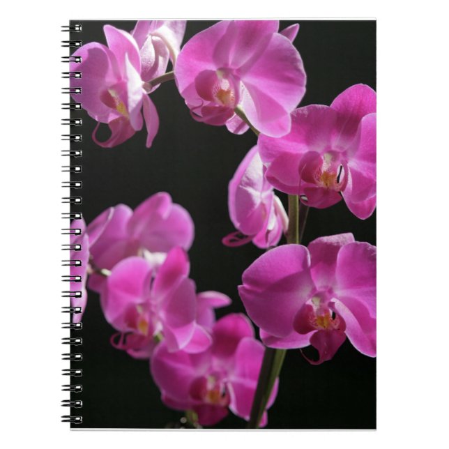 L'orchidée fleurit carnet (Devant)