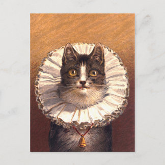 Lord Feline Postcard Postkarte