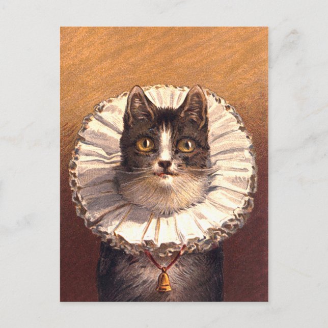 Lord Feline Postcard Postkarte (Vorderseite)