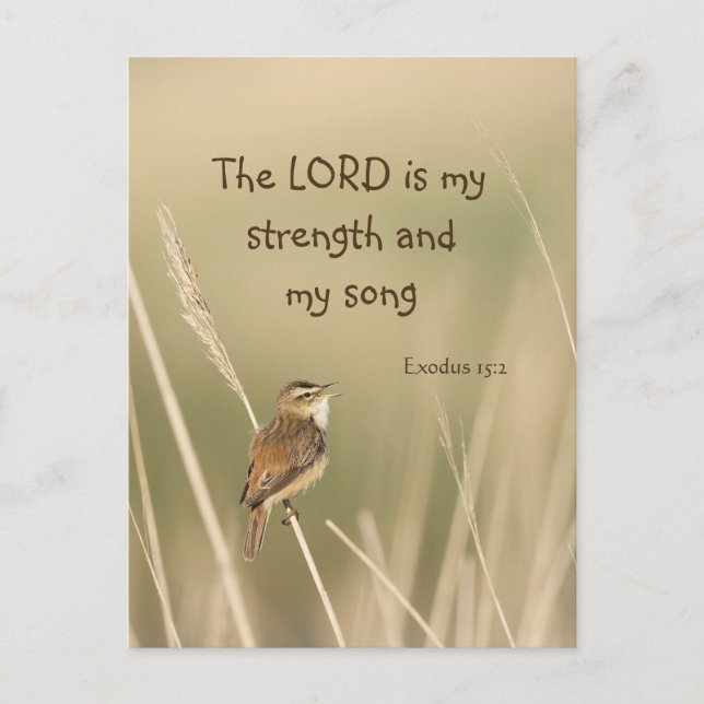 Lord is my Strength & Song Scripting Song Bird Postkarte (Vorderseite)