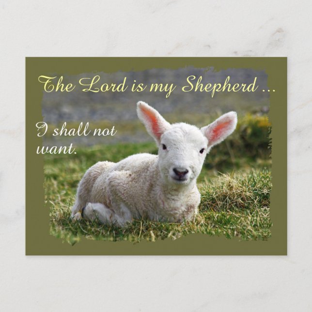 Lord ist mein Hirte Little White Lamb Blank Postkarte (Vorderseite)