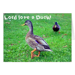 Lord-Liebe eine Ente! Karte
