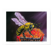 Lord of Honey - Poster