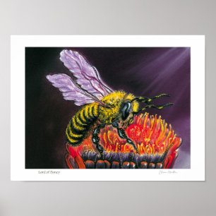 Lord of Honey - Poster