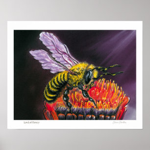 Lord of Honey Poster