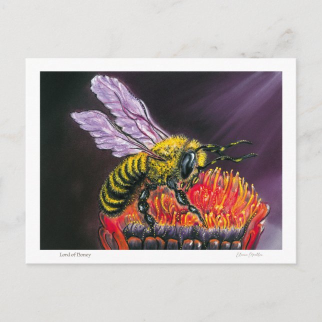 Lord of Honey Postkarte (Vorderseite)
