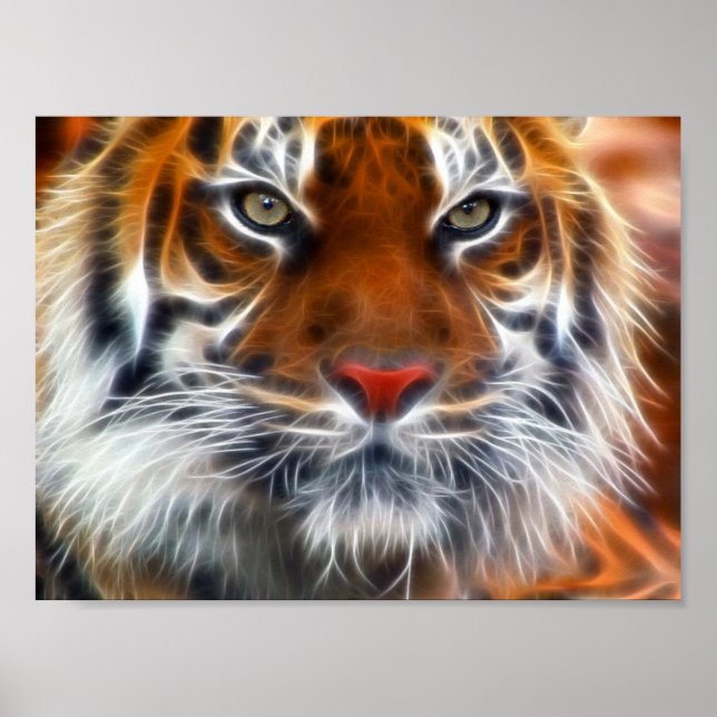 Lord of the Indian Jungles, The Royal Bengalisch T Poster (Vorne)