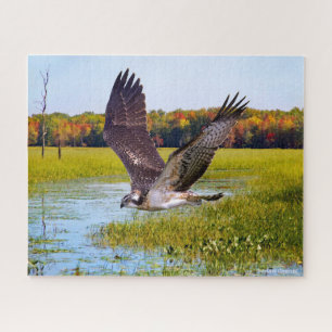 "Lord of the Marsh" Puzzle
