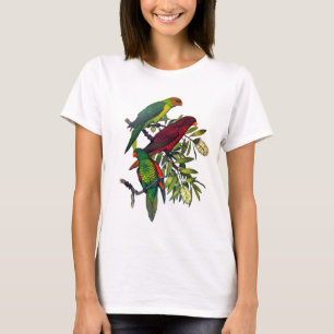 Lories und lorikeets T-Shirt