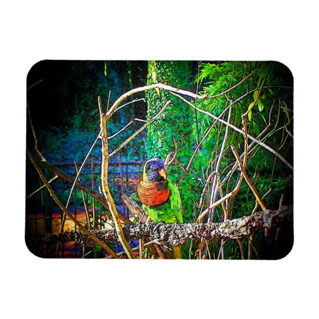 Lorikeet Bird Magnet (Horizontal)