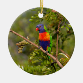 Lorikeet Keramik Ornament