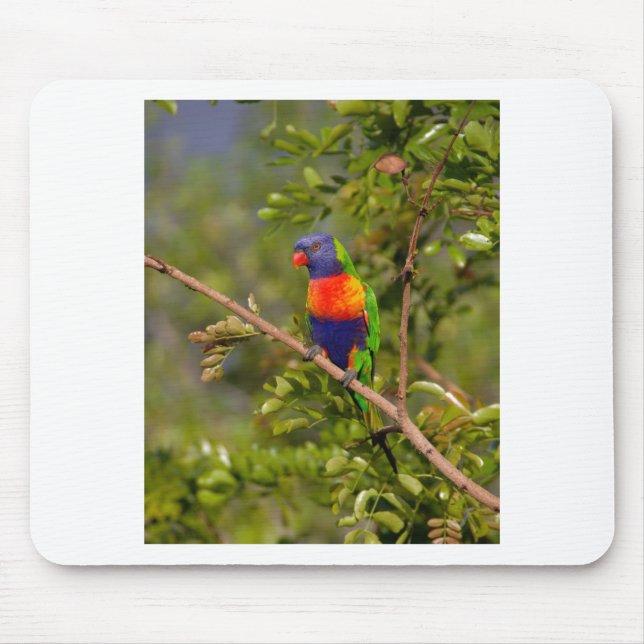 Lorikeet Mousepad (Vorne)