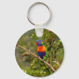 Lorikeet Schlüsselanhänger