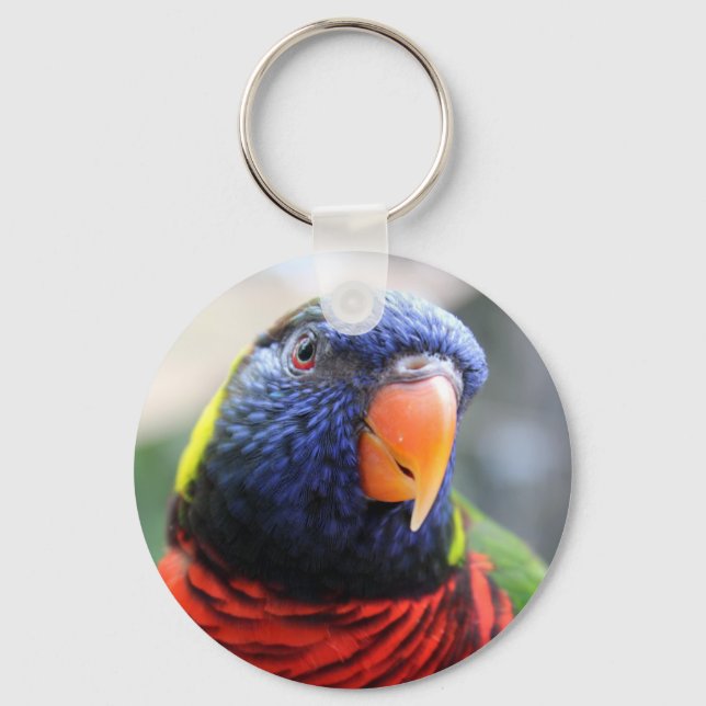Lorikeet Schlüsselanhänger (Vorderseite)