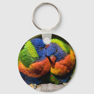 Lorikeets in der Liebe Schlüsselanhänger