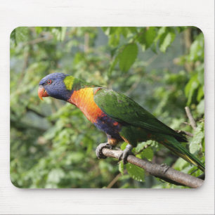 Lorini, Papagei Mousepad