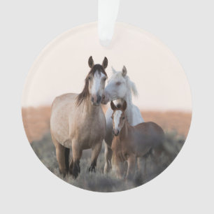 L'Ornement du Cheval de Famille Sauvage
