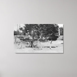 Los Angeles, CA-Strauß-Bauernhof-Wagen-Szene Leinwanddruck