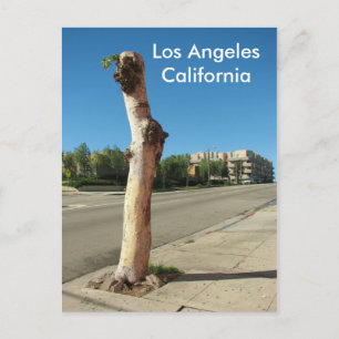 Los Angeles Cool Tree Postcard! Postkarte