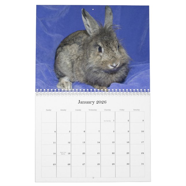 Los Angeles-Kaninchen-Grundlage - 2012 Kalender (Jan 2026)