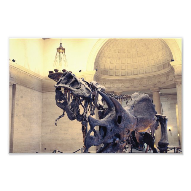 Los Angeles Natural History Museum  Fotodruck (Vorne)
