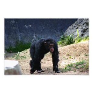 Los Angeles Zoo Fotodruck