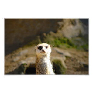 Los Angeles Zoo Fotodruck