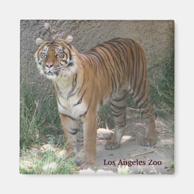Los Angeles Zoo Magnet! Magnet (Vorne)
