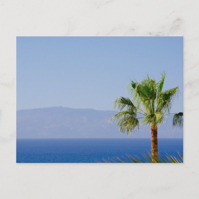 Los Gigantes, Teneriffa Postkarte (Vorderseite)