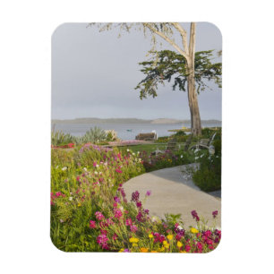 Los Osos und Baywood Park verbunden Magnet
