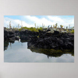 Los Tuneles auf den Galapagos-Inseln Poster