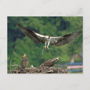 Löschen Sie die Piste. Postkarte