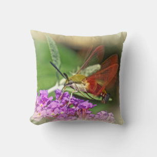 Löschen von Hummingbird Hawk Moth Kissen