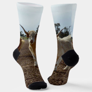Lose Rinder: Höhere Weizenhöhe der Kühe Socken