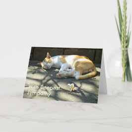 Loss Cat Sympathy Card Karte