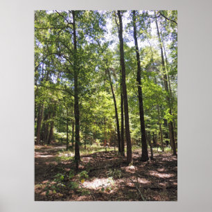 Lost Acres Print Poster